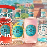 A Malfy, from Amalfi, at Fabioâ€™s. Thatâ€™s 2 Italians in Hermanus... Fabioâ€™s, open every day from 12:00 - Fabio's Ristorante - Xplorioâ„¢ Hermanus