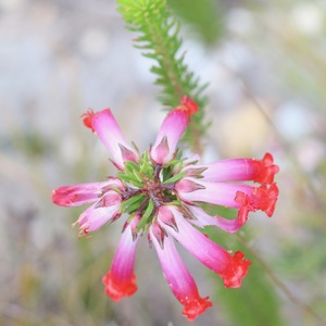 IMG_9447_3_1635948281