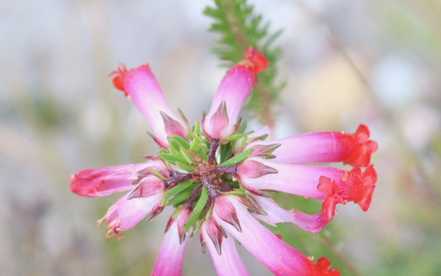 IMG_9447_3_1635948281