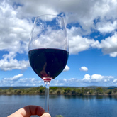 Wine Tours - Gansbaai Wine Tours - Xplorioâ„¢ Gansbaai