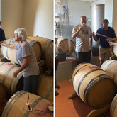 Wine Tours - Gansbaai Wine Tours - Xplorioâ„¢ Gansbaai