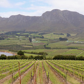 Wine Tours - Gansbaai Wine Tours - Xplorioâ„¢ Gansbaai