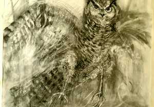 Owl Charcoal Drawing (1m x 1m) Framed