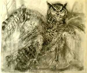 Owl Charcoal Drawing (1m x 1m) Framed