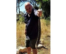 Snake season is upon us in the Overberg