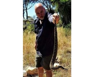 Snake season is upon us in the Overberg