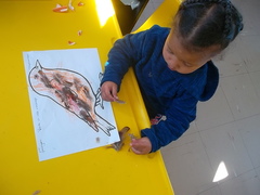 Good Times atÂ Pikkewyntjies