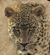 November 2021 Clearance Sale