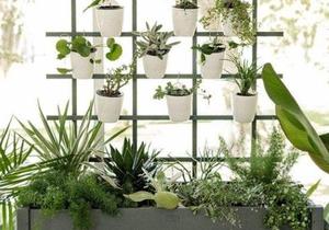 Create your own Vertical Garden