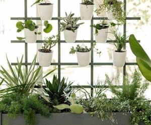 Create your own Vertical Garden