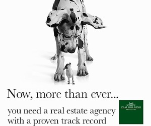 Real estate agency with a proven track record you can trust