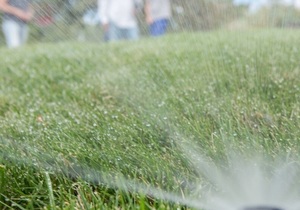 Let your irrigation system do the work for you!