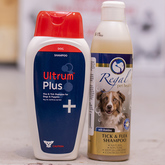 Tick and Flea Shampoo - The Pet Grocer - Xplorioâ„¢ Gansbaai