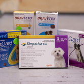 Tick and Flea Treatment - The Pet Grocer - Xplorioâ„¢ Gansbaai