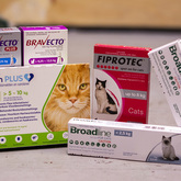 Tick and Flea Treatments for Cats - The Pet Grocer - Xplorioâ„¢ Gansbaai