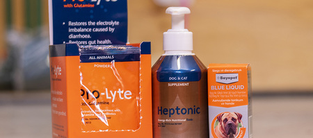 gansbaai_pet_shops_the_pet_grocer_dog_and_cat_electrolite_suppliment_1__1636546209