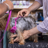 Acessory Fitting - The Pet Grocer - Xplorioâ„¢ Gansbaai