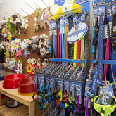 Dog Toys - The Pet Grocer - Xplorioâ„¢ Gansbaai