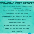 Foraging Experiences  - Edible Seaweed & Fynbos Experience - Xplorioâ„¢ Pringle Bay