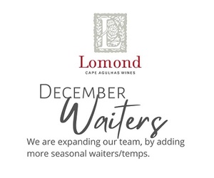 December Waiters