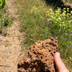 254588124_6400373490003885_2569616915452611411_n_1636700996