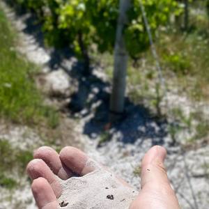 254679866_6400373476670553_2166748240178040312_n_1636700996