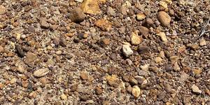 254895634_6400373486670552_5721286213652382275_n_1636700997