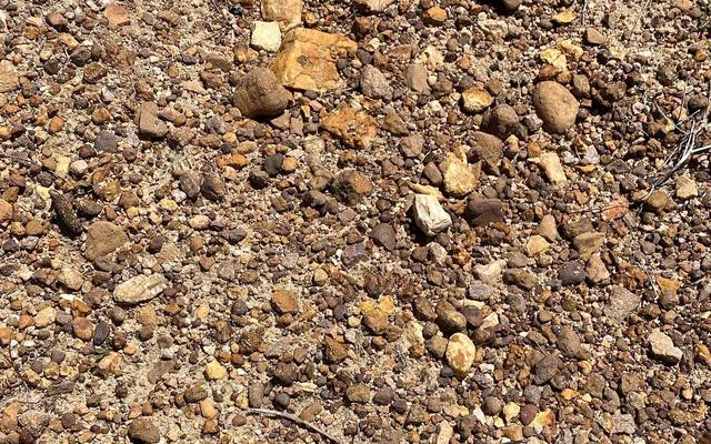 254895634_6400373486670552_5721286213652382275_n_1636700997