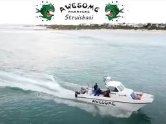 Awesome Charters Offers Boat Angling Trips