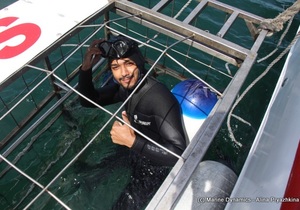 Daily Blog: 15 November 2021 | Shark Cage Diving in South Africa