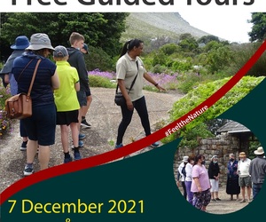 7 + 16 December 2021â€‹â€‹â€‹â€‹â€‹â€‹â€‹:Â Free Guided Tours