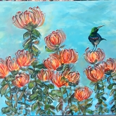 Fynbos Pincushion Medley - Annelene (Lientjie) van der Colff - Xplorioâ„¢ Gansbaai