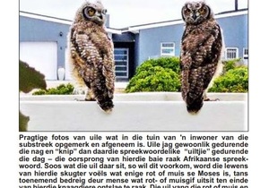 â€œPlease do not use poison to solve your rodent problem!â€