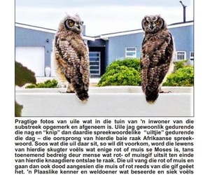 â€œPlease do not use poison to solve your rodent problem!â€