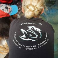 Branding - South African Shark Conservancy - Xplorioâ„¢ Hermanus
