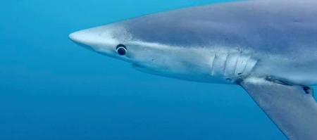 153620624_3878105868877970_6295545729417392167_n_1637581172