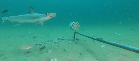 218224523_4302535649768321_6752790519412502266_n_1637581215