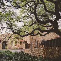 Soaring Eagles Guest Lodge and Day Spa - Front View Guest Lodge - Xplorioâ„¢ Napier