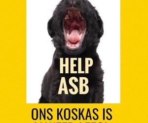 Please Help Us Survive This Festive Season