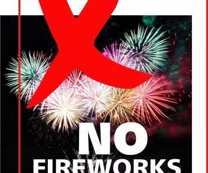 NO FIREWORKS