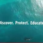Discover. Protect. Educate.