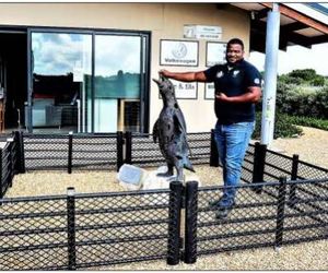 Virus maai steeds onder ons wilde seevoÃ«l bevolking