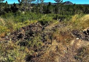 Burgemeester stel mikpunte en prioriteite vir die â€œeerste 100 daeâ€