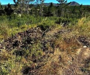 Burgemeester stel mikpunte en prioriteite vir die â€œeerste 100 daeâ€