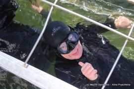 Daily Blog: 29 November 2021 | Shark Cage Diving in South Africa