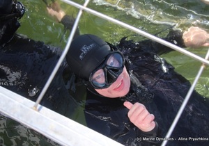 Daily Blog: 29 November 2021 | Shark Cage Diving in South Africa