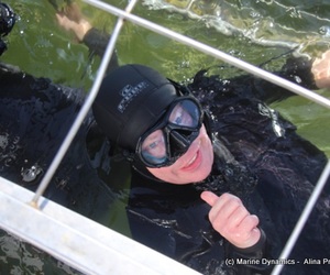 Daily Blog: 29 November 2021 | Shark Cage Diving in South Africa