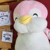 New Items - Lili & Co - Xplorioâ„¢ Kleinmond