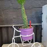 New Items - Lili & Co - Xplorioâ„¢ Kleinmond