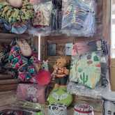 New Items - Lili & Co - Xplorioâ„¢ Kleinmond